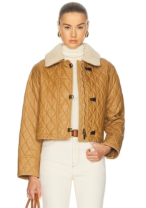 Burberry Howle Jacket in Sepia & Hay - Cognac. Size L (also in M, S, XS).