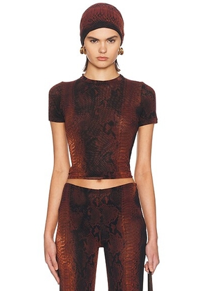 Jean Paul Gaultier Mesh Printed Python Baby Tee in Brown & Black - Brown. Size S (also in ).
