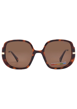 Polaroid Bronze Butterfly Ladies Sunglasses PLD 6181/S 0086/SP 53