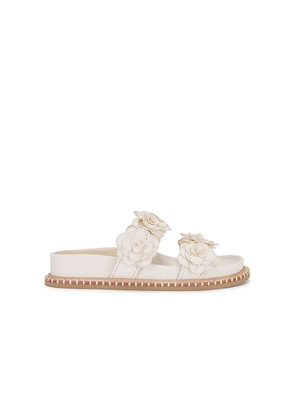 Dolce Vita Sherla Sandal in White. Size 7.5. Also in 9.5.