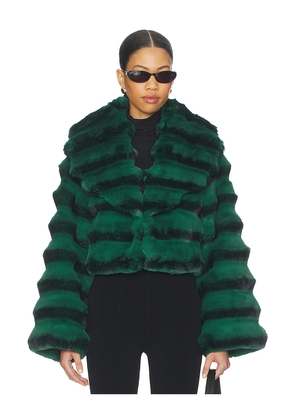 Adrienne Landau Chinchilla Jacket in Green,Black. Size M. Also in S.