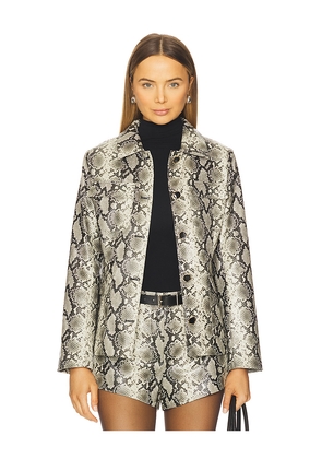 Line & Dot Python Jacket in Grey. Size M. Also in XS.