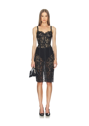 L'AGENCE Jennifer Lace Bustier Midi Dress in Black. Size 0. Also in 2, 4, 6, 8.