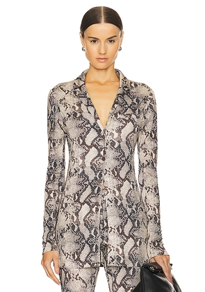 Ronny Kobo Zena Top in Neutral. Size XS. Also in S.