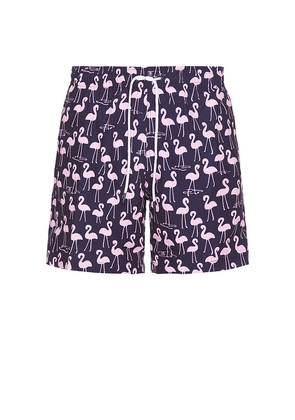 Trunks Surf & Swim Co. Sano 6.5 Swim Short in Purple. Size S. Also in L.