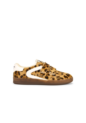 Sam Edelman Talia Sneaker in Brown. Size 6. Also in 7, 7.5, 8, 8.5, 9.