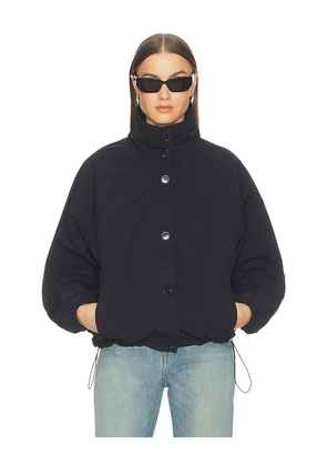 superdown Kirrily Funnel Neck Jacket in Black. Size L. Also in M, S, XL, XS, XXS.