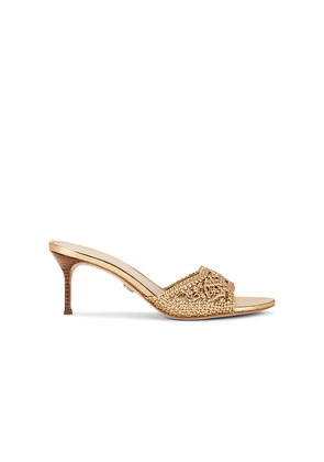 Veronica Beard Tia Macrame Sandal in Metallic Gold. Size 10. Also in 6, 6.5, 7, 7.5, 8, 8.5, 9, 9.5.