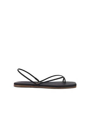 TKEES Square Toe Millie Sandal in Black. Size 7. Also in 8.