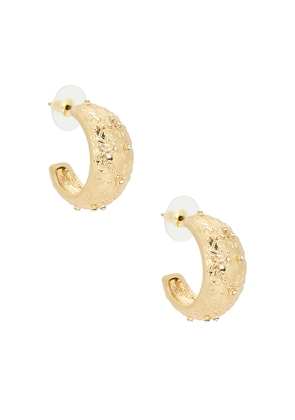 petit moments Sigil Hoop Earrings in Metallic Gold.