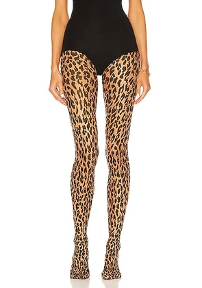 Wolford Leo Tights in Fairly Light & Black - Brown. Size XS (also in ).