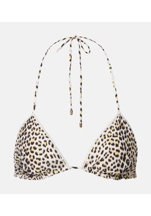 Roberto Cavalli Printed bikini top