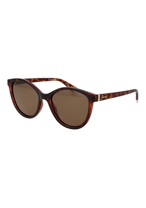 Polaroid Brown Plastic Sunglasses