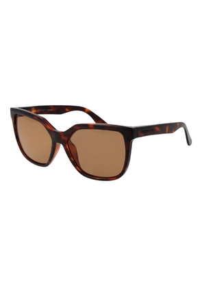 Serengeti Brown  Sunglasses
