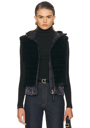 BOGNER Yumi-d Vest in Black - Black. Size 10 (also in ).