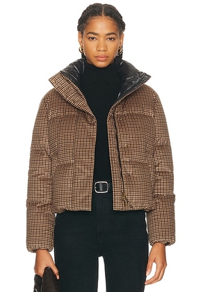 Moncler Quierzy Jacket in Dark Yellow - Brown. Size 1/S (also in 2/M).