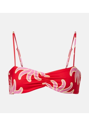 Cala de la Cruz Lilo printed ruched bikini top