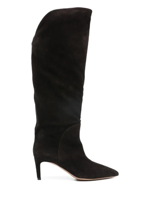 Paris Texas pointed calf suede boots - Brown