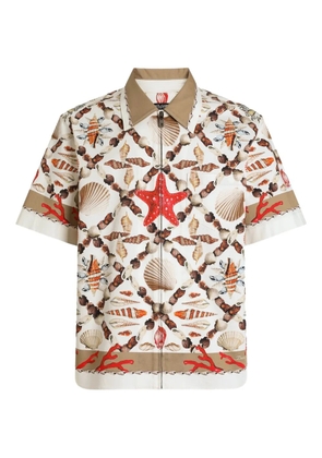 Dolce & Gabbana shell-print Hawaii shirt - White
