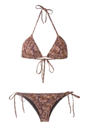 Isolda Borakay tie bikini set - Brown