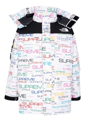 Supreme x TNF Coldworks 700-Fill down parka - White