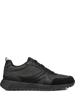 Geox Molveno sneakers - Black