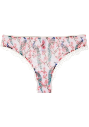 Dolci Follie peacock print brazilian briefs - White