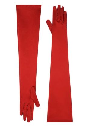 Dolce & Gabbana Kim elbow-length gloves - Orange