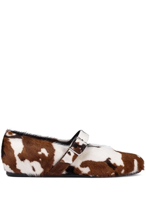 Le Silla Danielle ballet flats - Brown