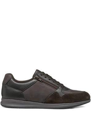 Geox Avery sneakers - Brown