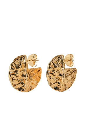 Paola Sighinolfi medium Icon hoops - Gold