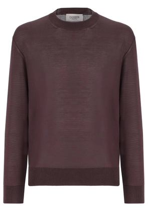 Laneus fine-knit jumper - Brown