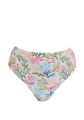 PatBO Seaweed printed bikini bottom - White