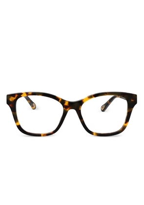 Chloé Eyewear butterfly-frame glasses - Brown