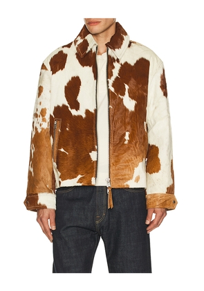 ALLSAINTS Garrison Jacket in Brown. Size L. Also in M, XL/1X.