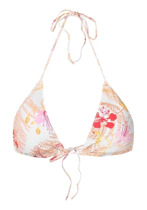 Clube Bossa Aava floral-print bikini-top - Neutrals