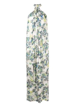 Bambah Petra tropical-print maxi dress - Green