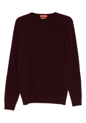 Daniele Fiesoli crew-neck long-sleeve sweater - Red