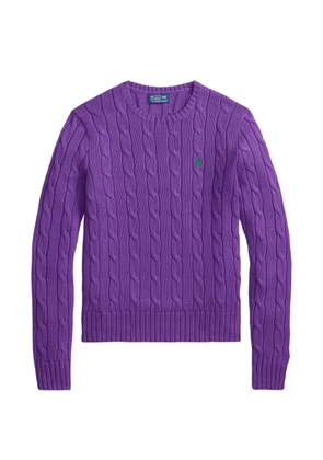 Polo Ralph Lauren logo-detail knitwear - Purple