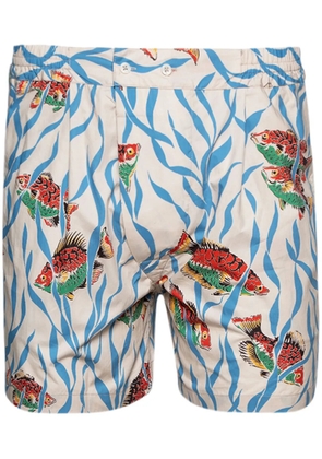 BODE Swimmers shorts - Neutrals