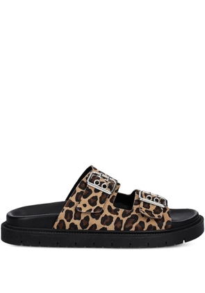 Copenhagen leopard-print buckled flat sandals - Black