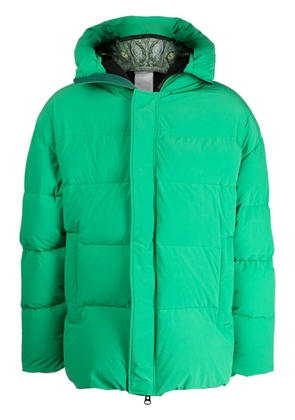 Doublet padded animal motif-hoodie jacket - Green