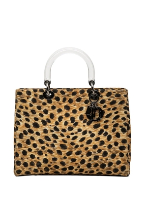 Christian Dior Pre-Owned 1999 Large Canvas Leopard Print Lady Dior satchel - Brown