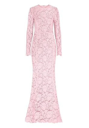Dolce & Gabbana lace-overlay train maxi dress - Pink