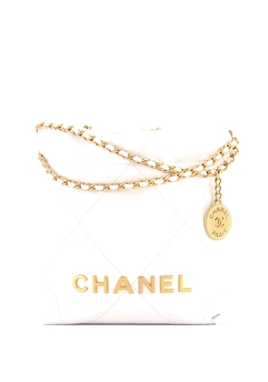 CHANEL Pre-Owned 22 Chain Hobo Quilted Calfskin Mini crossbody bag - White