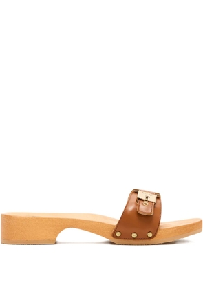 Scholl buckle-fastening leather sandals - Brown