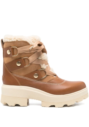 SOREL Joan ankle boots - Brown