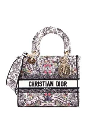 Christian Dior Pre-Owned Lady D-Lite Bag Embroidered Canvas Medium satchel - White