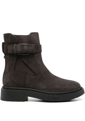 Ash buckle-strap suede boots - Brown