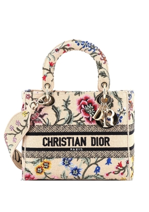 Christian Dior Pre-Owned Lady D-Lite Bag Embroidered Raffia Medium satchel - Multicolour